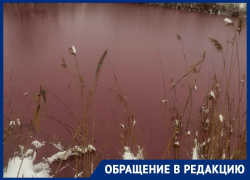 «Дублер» розовых озер в Крыму появился в Краснодарском крае «Дублер» розовых озер в Крыму появился в Краснодарском крае