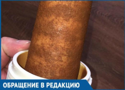 Флешмоб «шоколадных» фильтров поддержали жители пригорода Краснодара Флешмоб «шоколадных» фильтров поддержали жители пригорода Краснодара