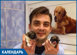«28 апреля - Международный день ветеринарного врача»: профессия или призвание «28 апреля - Международный день ветеринарного врача»: профессия или призвание