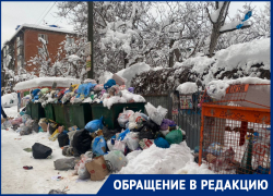 Мусорный коллапс образовался из-за сильнейшего снегопада в Краснодаре Мусорный коллапс образовался из-за сильнейшего снегопада в Краснодаре