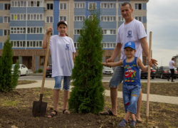 День заиграл новыми красками: в Краснодаре появилась зеленая аллея День заиграл новыми красками: в Краснодаре появилась зеленая аллея