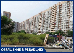 Амброзия во дворе многоэтажки мешает спокойной жизни краснодарцев Амброзия во дворе многоэтажки мешает спокойной жизни краснодарцев