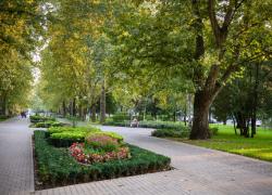 Власти Кубани встали на защиту зеленых зон Краснодара Власти Кубани встали на защиту зеленых зон Краснодара
