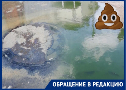 Краснодарцы на Кадетской жалуются на чиновников и застройщика: они устали дышать канализацией и отходами Краснодарцы на Кадетской жалуются на чиновников и застройщика: они устали дышать канализацией и отходами