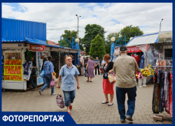 В Краснодаре подорожали даже местные продукты: прогулка по Сенному рынку В Краснодаре подорожали даже местные продукты: прогулка по Сенному рынку