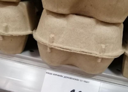 Краснодарский птицевод: вместо заморозки цен на продукты правительству стоит помочь населению деньгами Краснодарский птицевод: вместо заморозки цен на продукты правительству стоит помочь населению деньгами
