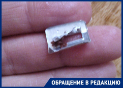 «Страшно подумать, если бы ребенок проглотил это», - краснодарка купила торт с «сюрпризом» «Страшно подумать, если бы ребенок проглотил это», - краснодарка купила торт с «сюрпризом»