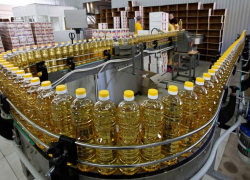 «Кубанские продукты – признанный бренд», - власти края намерены увеличить экспорт региональных товаров «Кубанские продукты – признанный бренд», - власти края намерены увеличить экспорт региональных товаров