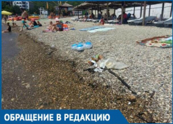 Курортный сбор на Кубани идет полным ходом, а убирать пляжи никто и не думает, - мнение отдыхающих Курортный сбор на Кубани идет полным ходом, а убирать пляжи никто и не думает, - мнение отдыхающих