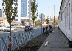 На Суворова в Краснодаре посадят деревья и сделают вертикальное озеленение На Суворова в Краснодаре посадят деревья и сделают вертикальное озеленение