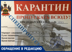 «Люди по две недели ждут, а вы за три дня хотите», - краснодарец не может получить красный пропуск «Люди по две недели ждут, а вы за три дня хотите», - краснодарец не может получить красный пропуск