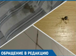 Грязные матрасы, тараканы и отваливающаяся плитка: так встречает беременных краснодарская больница Грязные матрасы, тараканы и отваливающаяся плитка: так встречает беременных краснодарская больница