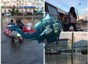 «Здесь рыбы нет»: будни водоплавающих краснодарцев «Здесь рыбы нет»: будни водоплавающих краснодарцев