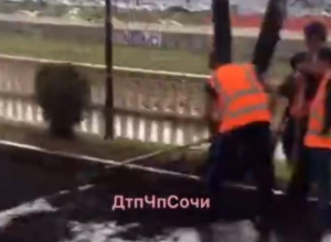 «Дождь, нет не слышали»: как сочинские дорожники укладывали новый асфальт «Дождь, нет не слышали»: как сочинские дорожники укладывали новый асфальт