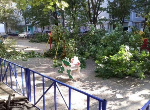 «Ваши дети и деревья нас не волнуют!» - краснодарцы шокированы опасной реконструкцией двора «Ваши дети и деревья нас не волнуют!» - краснодарцы шокированы опасной реконструкцией двора