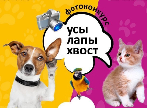 КОНКУРС: Поделись снимками питомца и выиграй подарки от ЗВЕРЕМАРКЕТ.РУ КОНКУРС: Поделись снимками питомца и выиграй подарки от ЗВЕРЕМАРКЕТ.РУ