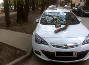 В Краснодаре неправильно паркующихся автомобилистов наказали с помощью кирпичей и бревен В Краснодаре неправильно паркующихся автомобилистов наказали с помощью кирпичей и бревен