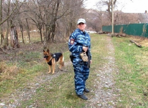 Овчарка Яра помогла раскрыть кражу бензопил в Краснодарском крае Овчарка Яра помогла раскрыть кражу бензопил в Краснодарском крае