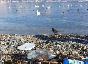 Краснодарский край проигрывает Турции по привлекательности для туристов Краснодарский край проигрывает Турции по привлекательности для туристов
