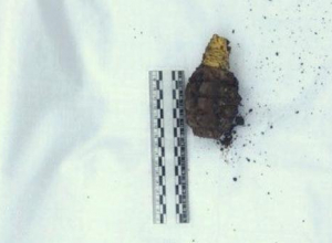 Опасную находку времен Великой Отечественной войны нашли в Сочи Опасную находку времен Великой Отечественной войны нашли в Сочи