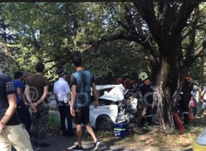Водитель «жигулей» погиб под Туапсе, протаранив дерево Водитель «жигулей» погиб под Туапсе, протаранив дерево