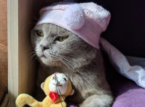 Коротко о погоде на Кубани: днем лето, ночью осень Коротко о погоде на Кубани: днем лето, ночью осень