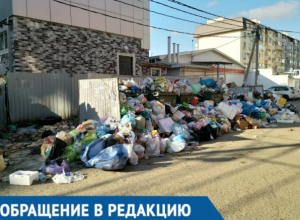 В горе мусора рядом с домами краснодарцев поселились крысы В горе мусора рядом с домами краснодарцев поселились крысы