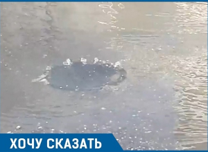 «Канализационная река» периодически появляется в Краснодаре «Канализационная река» периодически появляется в Краснодаре