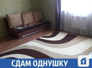 В краснодаре «однушку» на Московской сдают за недорого В краснодаре «однушку» на Московской сдают за недорого