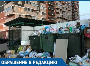 Утонули в мусоре два жилых комплекса Краснодара: «Грязный вопрос» не решается годами Утонули в мусоре два жилых комплекса Краснодара: «Грязный вопрос» не решается годами