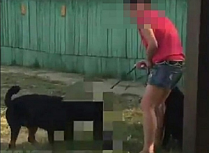Хозяйку ротвейлера, который загрыз кошку на глазах у детей в Краснодаре, ищет полиция Хозяйку ротвейлера, который загрыз кошку на глазах у детей в Краснодаре, ищет полиция