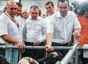 Кубанская продукция должна быть доступна каждому жителю края и страны - Вениамин Кондратьев Кубанская продукция должна быть доступна каждому жителю края и страны - Вениамин Кондратьев