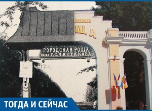 Что сделал Чистяков, чтобы в его честь назвали рощу в Краснодаре Что сделал Чистяков, чтобы в его честь назвали рощу в Краснодаре