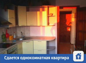 Комфортная однушка сдается в Краснодаре Комфортная однушка сдается в Краснодаре