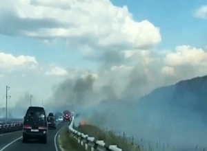 Под Анапой вновь загорелась сухая трава Под Анапой вновь загорелась сухая трава