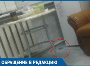 «По полу свободно бегают мыши», - жительница Краснодара рассказала о пребывании в ЗИПовской больнице «По полу свободно бегают мыши», - жительница Краснодара рассказала о пребывании в ЗИПовской больнице