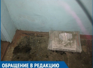 Краснодарцы год платят за несуществующую уборку в подъезде Краснодарцы год платят за несуществующую уборку в подъезде