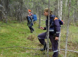 В районе Горячего Ключа в лесу после соревнований пропал 12-летний ребенок В районе Горячего Ключа в лесу после соревнований пропал 12-летний ребенок