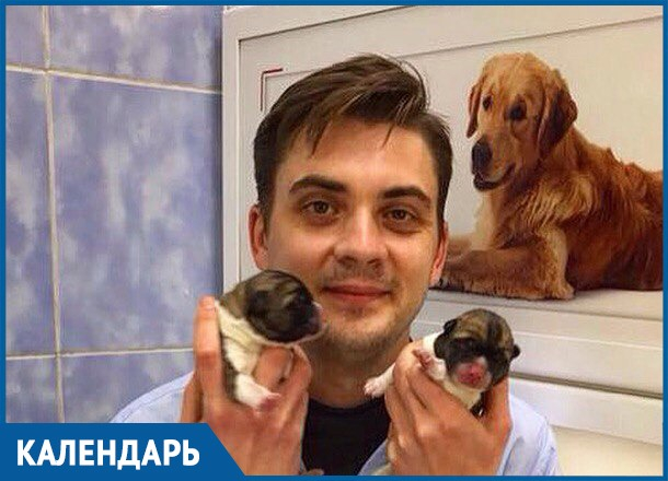«28 апреля - Международный день ветеринарного врача»: профессия или призвание «28 апреля - Международный день ветеринарного врача»: профессия или призвание