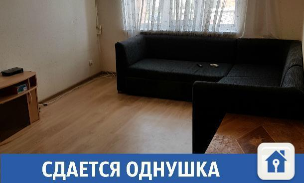 Сдается однокомнатная квартира в поселке Яблоновский Сдается однокомнатная квартира в поселке Яблоновский