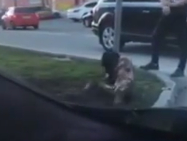 ����� ����� � ������ ����� � img 11