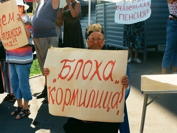 В центре Краснодара устроили «блошиную битву» В центре Краснодара устроили «блошиную битву»