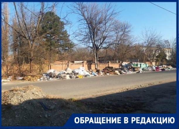 Стаи бродячих собак около разрастающейся свалки пугают жителей Краснодара Стаи бродячих собак около разрастающейся свалки пугают жителей Краснодара