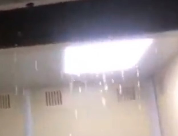 По погоде в Краснодаре плачут даже лифты По погоде в Краснодаре плачут даже лифты