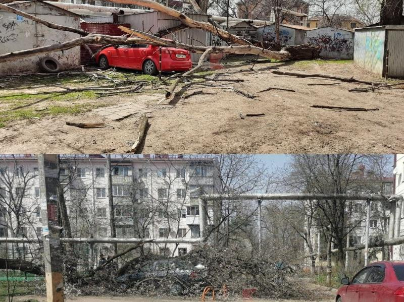 В Краснодаре сильный ветер повалил деревья на припаркованные автомобили В Краснодаре сильный ветер повалил деревья на припаркованные автомобили