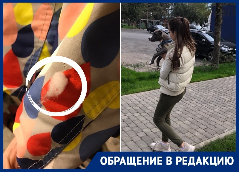 Собака напала на ребенка в краснодарском сквере Собака напала на ребенка в краснодарском сквере