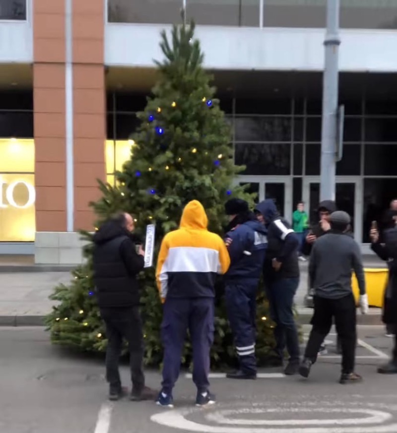 Полицейские арестовали елку в Краснодаре за неправильную езду Полицейские арестовали елку в Краснодаре за неправильную езду