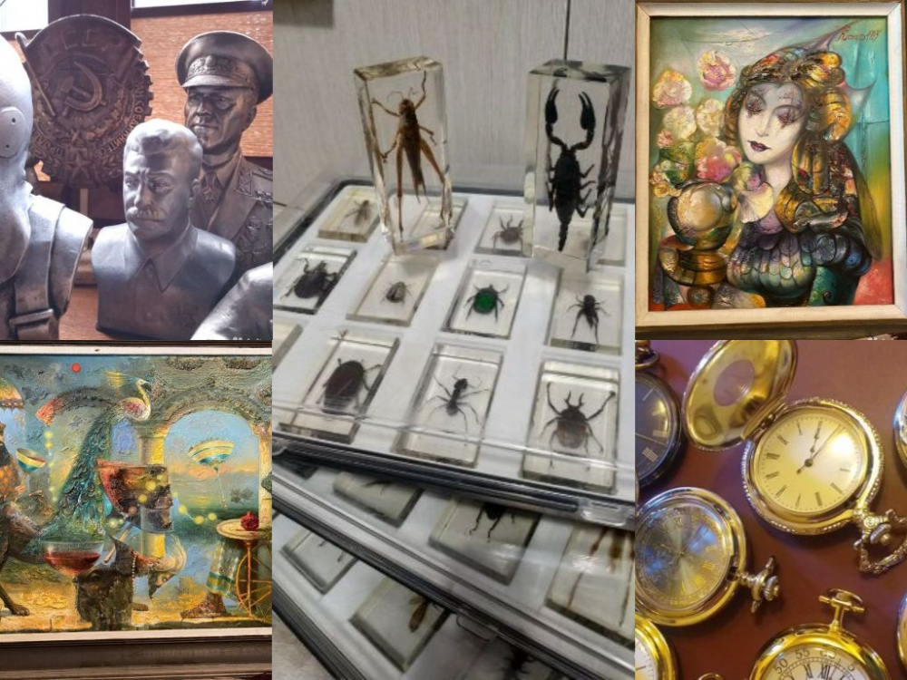 Картины Капо и жуки в смоле: пять невероятных коллекций на продажу в Краснодаре