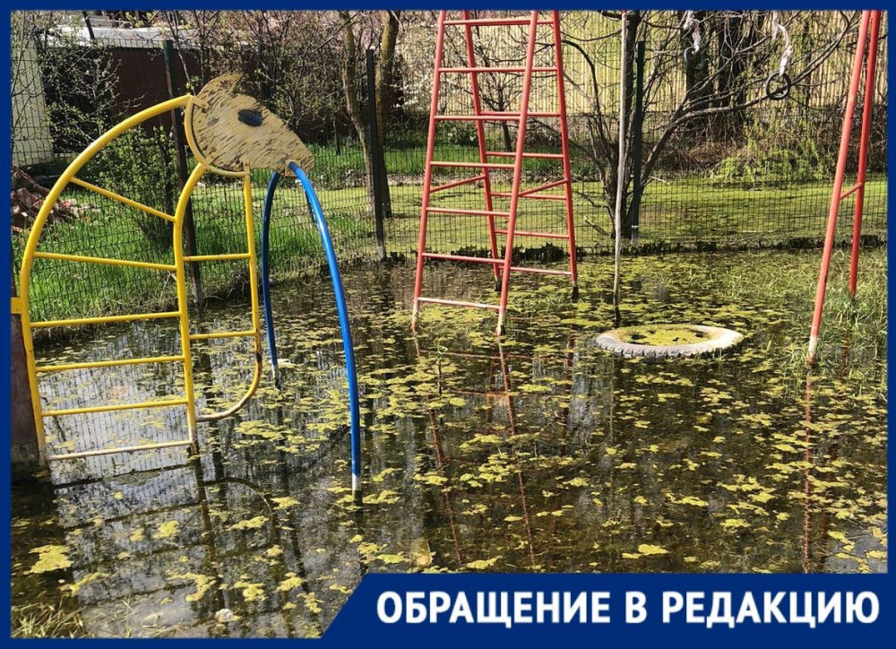 «Наше болото уже квакает»: на детской площадке в Краснодаре появились лягушки