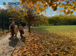 какие сегодня новости в краснодаре. Смотреть фото какие сегодня новости в краснодаре. Смотреть картинку какие сегодня новости в краснодаре. Картинка про какие сегодня новости в краснодаре. Фото какие сегодня новости в краснодаре